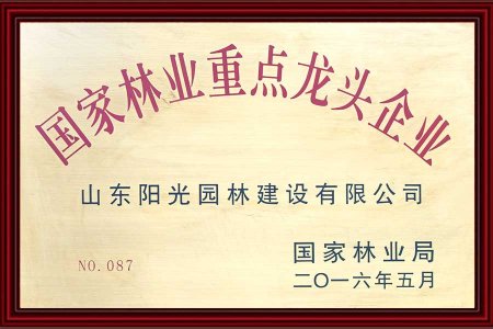 國(guó)家(jiā)林(lín)業(yè)重點龍頭企業(yè)