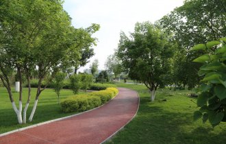 時(shí)令植保丨夏季園林(lín)苗木(mù)養護的(de)7個(gè)技(jì)術(shù)要(yào)點